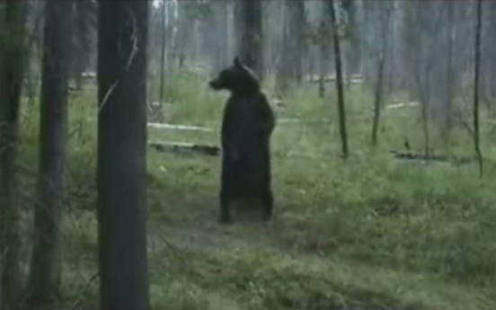 (영상) 산속에서 ‘이상한 짓’ 하는 불곰 수컷