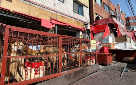 Animal rights group demands tougher stance on dog meat