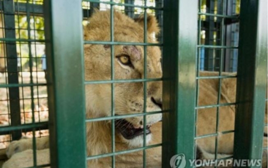 내전에 파괴된 시리아 동물원 '난민 동물' 터키로 모두 피신