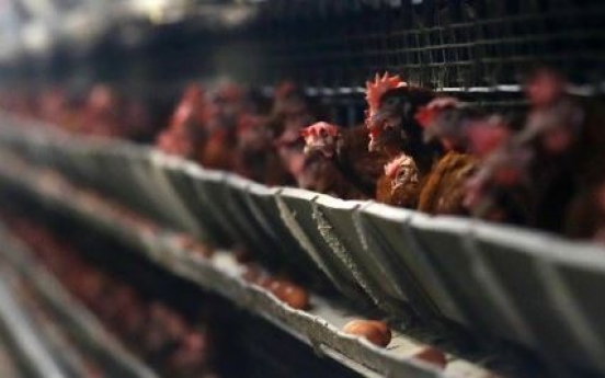 Korea to enhance poultry farming environment