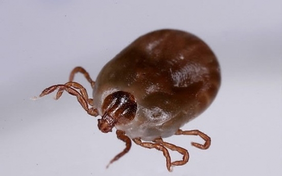 Death by killer bush ticks doubles this year