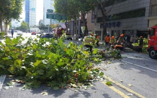 Weather warning issued as typhoon approaches