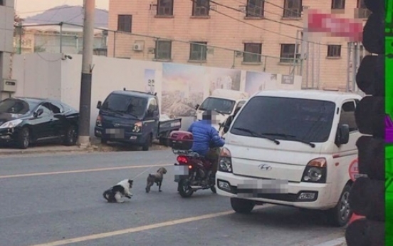 Man drags pet dogs behind motorcycle