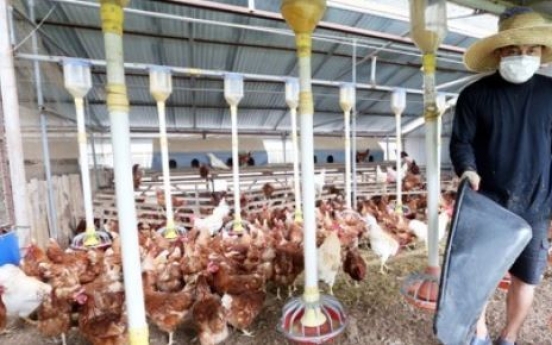 Vietnam lifts import ban on Korean poultry