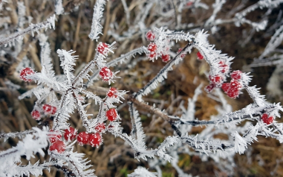 How does one know of first snow in Seoul?