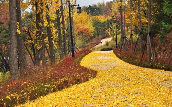 [Neighborhood Trails] Nature walk atop Namsan in heart of Seoul