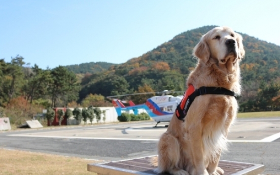 Rescue dog ‘Cheondoong’ retires after saving 12 lives