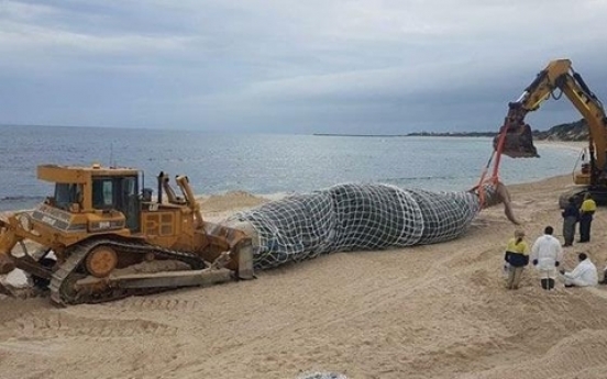 해변에 나타난 거대 사체... 중장비 동원