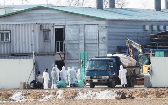 Korea to beef up hygiene regulations on poultry farms