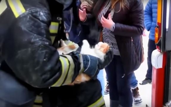 (영상) 어떻게든 살린다, 심폐소생술로 고양이 살린 소방관