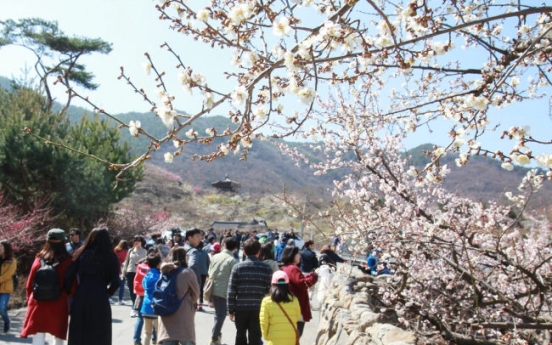 Korea bolsters efforts to attract foreign tourists for spring