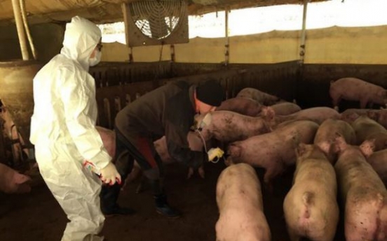 Korea confirms foot-and-mouth disease at pig farm