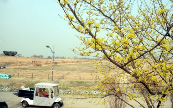 [Photo News] Spring blossoms covered in fine dust