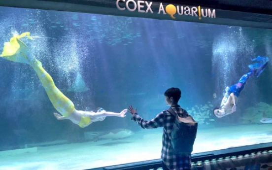 Coex Aquarium introduces summer performances and ‘healing time’