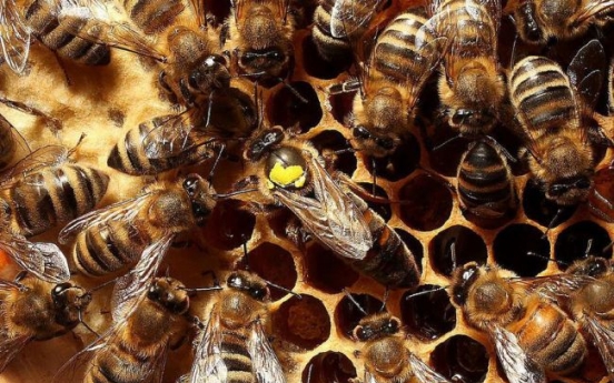 Man dies after 19 bee stings