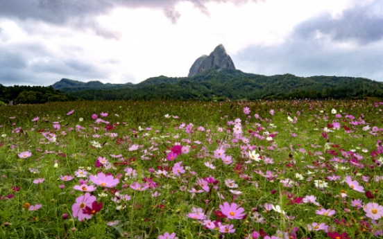 [Weather] Clouds linger nationwide, light rain to fall in southern parts