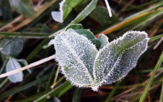 [Weather] Chilly, sunny weather continues on weekend