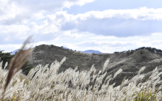 [Weather] Wednesday to be mostly sunny with some rain