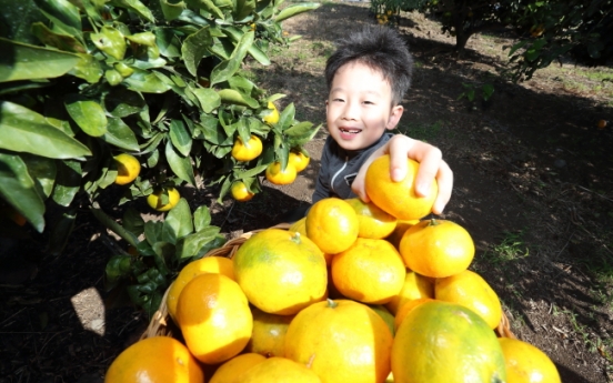 Cheong Wa Dae gifts NK tangerines in return for mushrooms