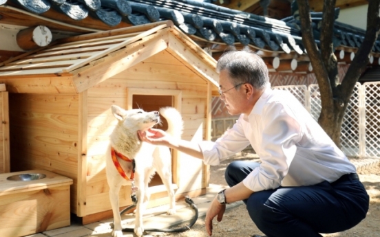 Pungsan dog gifted by NK leader to Moon gives birth to six puppies