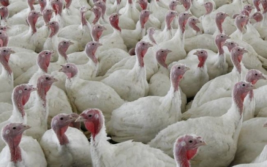 Why a salmonella outbreak shouldn’t ruin your Thanksgiving