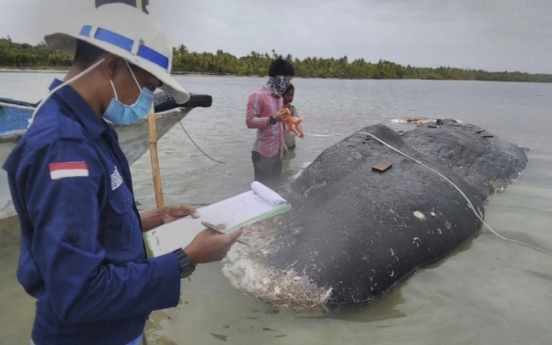 Dead whale had 115 plastic cups, 2 flip-flops in its stomach