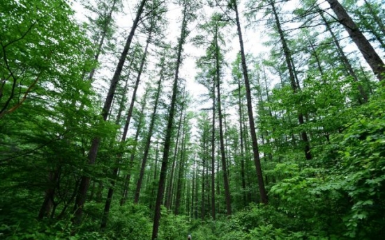 Majority Koreans recognize forests' role in improving life: survey