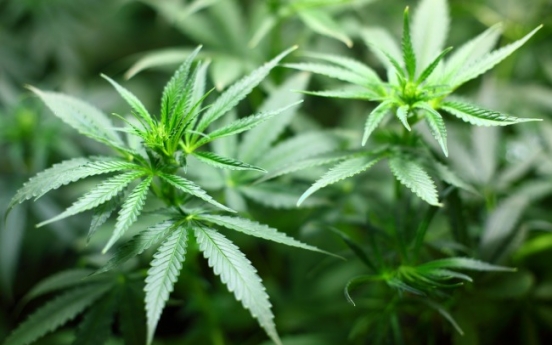 Korea to import medical marijuana starting early next year
