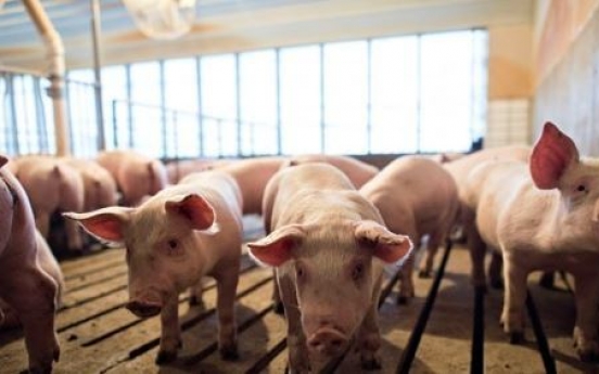 Alleged brutal killings of piglets at pig farm draw animal abuse outcry