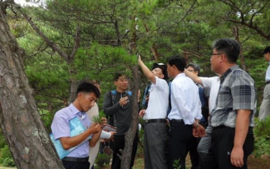 Koreas discuss cooperation to fight tree diseases, modernize tree nurseries