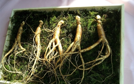 N. Korea adopts law on cultivation, distribution of ginseng