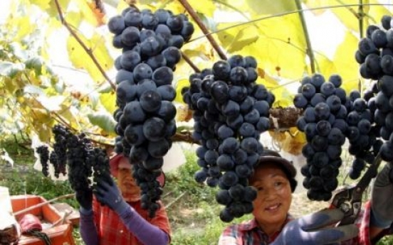 Korea to start exports of Kyoho grapes to Australia