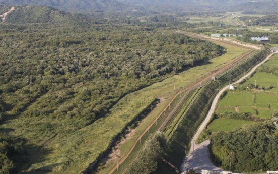 Unidentified object spotted over DMZ was a flock of birds: JCS