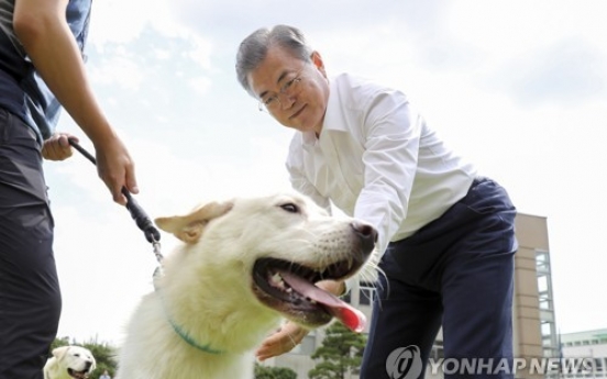 Moon distributes puppies of Pungsan dogs gifted by N.K. leader