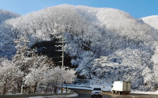 PyeongChang invites tourists to trout and snow festivals