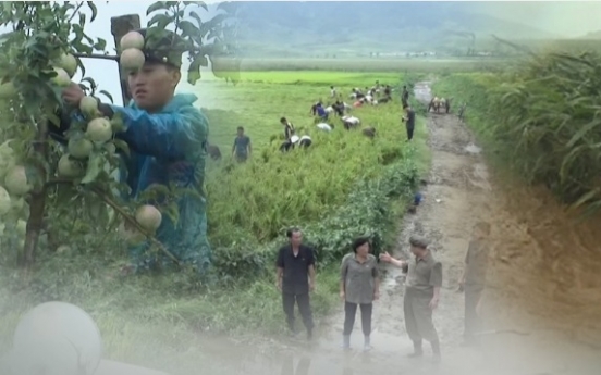 N. Korea's crop harvest up 2% on improved weather conditions