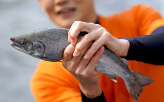 Controversy rekindled over Hwacheon ice fishing festival