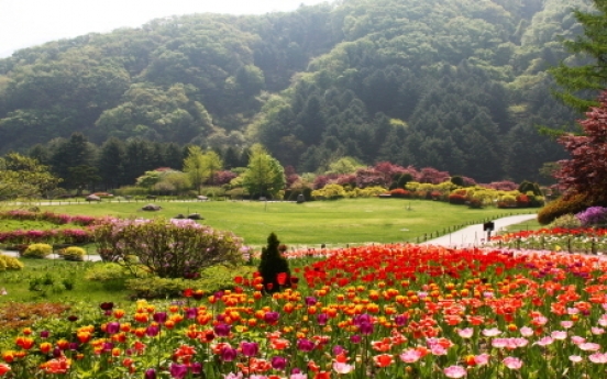 [Travel Bits] Festivals and sights across Korea