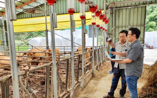 Number of beef cattle in S. Korea hits new high in Q2