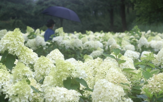 Jeju sees longest monsoon season on record