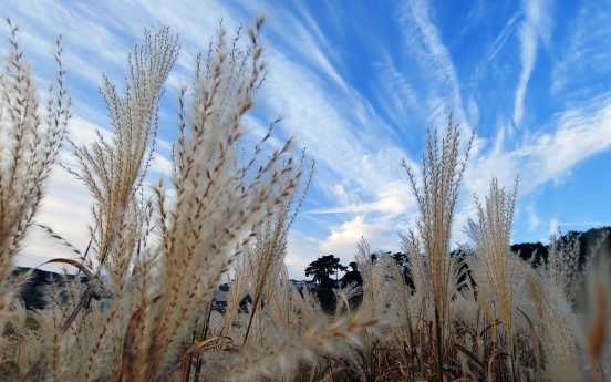 [Photo News] White clouds painted across clear, sunny sky in Gangneung