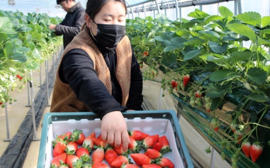 S. Korea to send chartered flights to Singapore with strawberry shipments