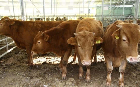 Number of beef cattle in S. Korea gains 3.9% in Q4