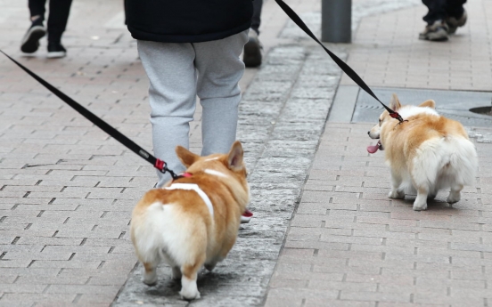 Seoul city to test pet cats, dogs for COVID-19