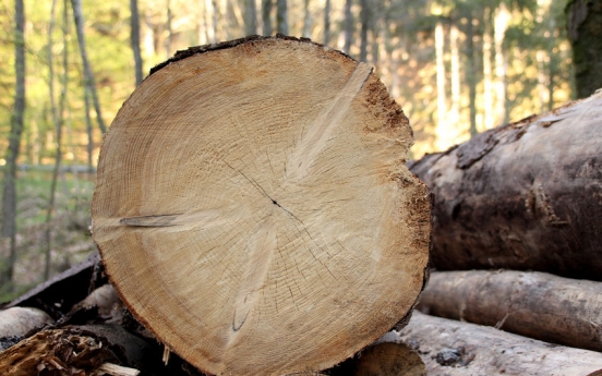 Civic group suggests cutting down old trees to tackle climate change