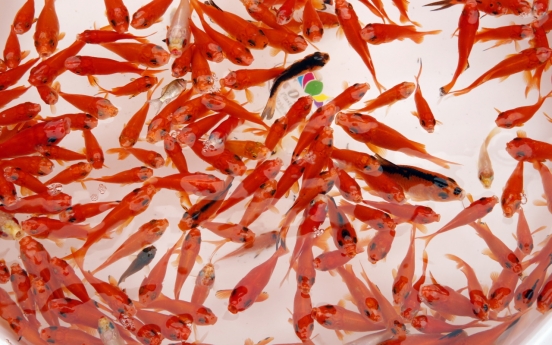 S. Korea's pet fish market to grow 35% by 2025