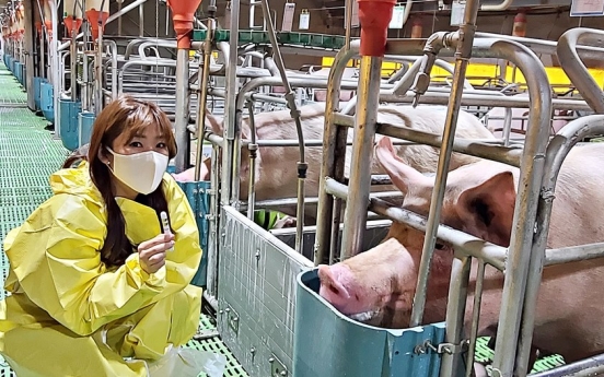 Local company develops smart livestock management solution for pigs