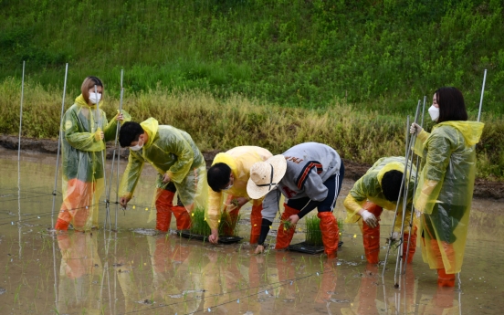 [Photo News] Spring rice-planting season begins in Korea