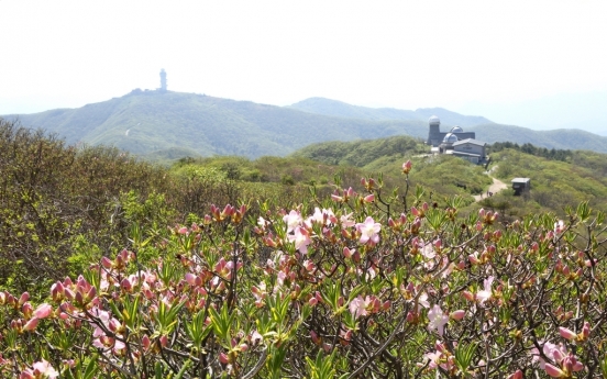 Sobaeksan’s floral beauty in full bloom