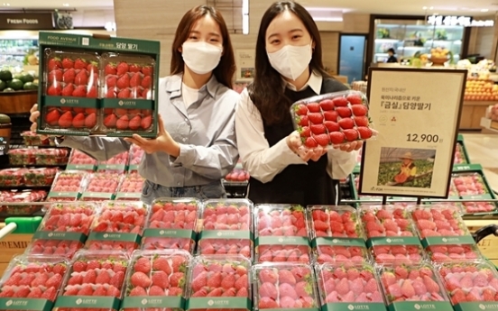 Exports of strawberries up 25% in Jan.-May period